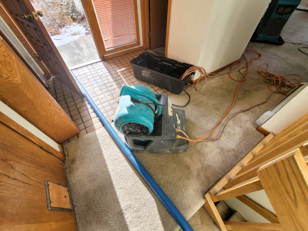 Best Emergency water damage restoration  in Seaman, OH