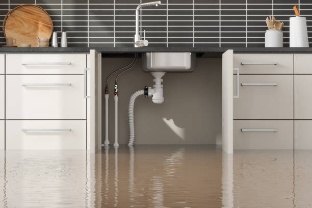 Best 24/7 water damage repair  in Seaman, OH